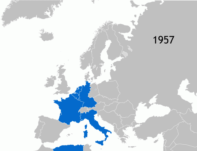 Merger Treaty