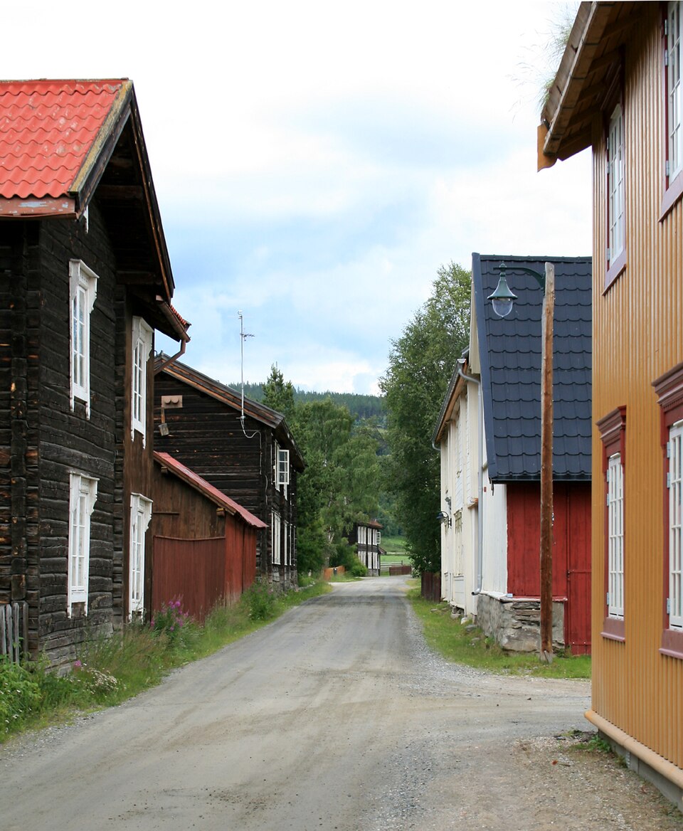 Tolga Municipality