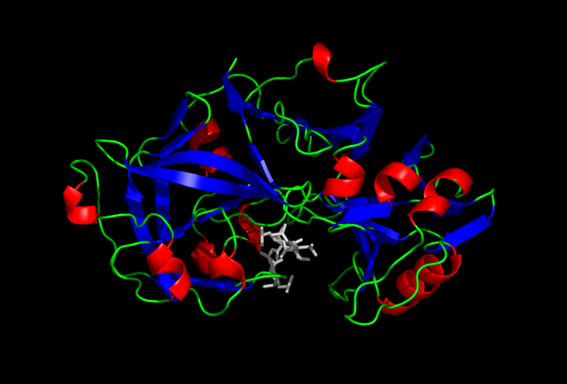 pepsin