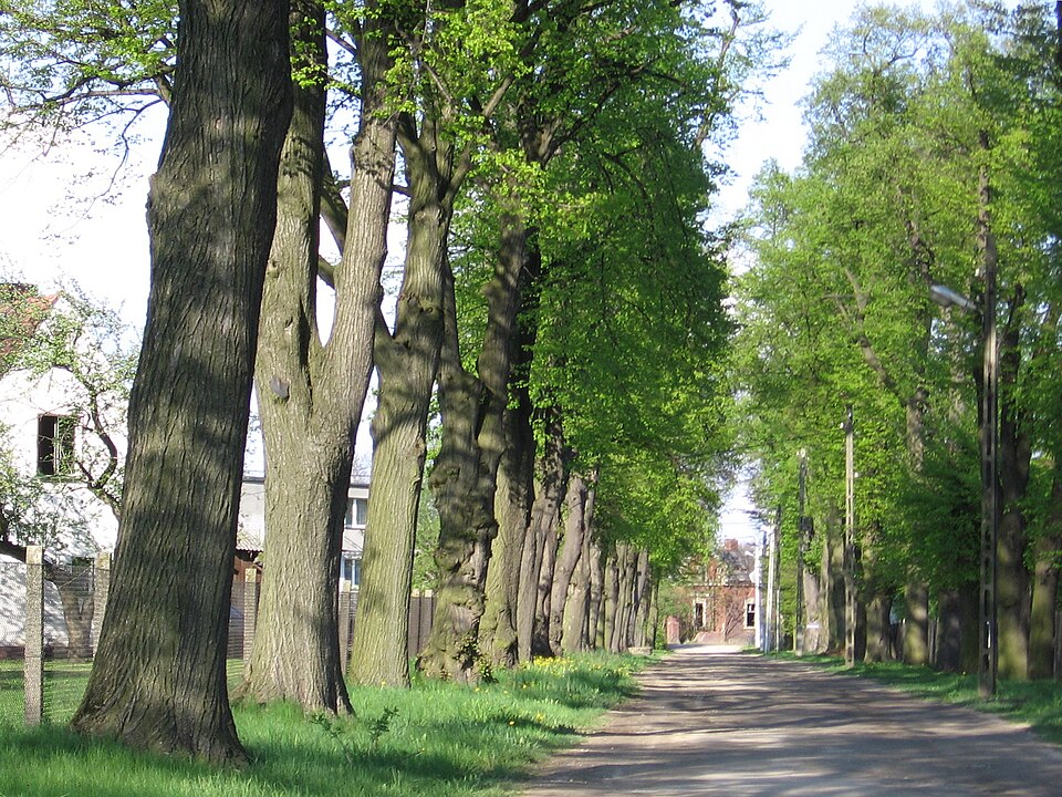 Trzebnica County