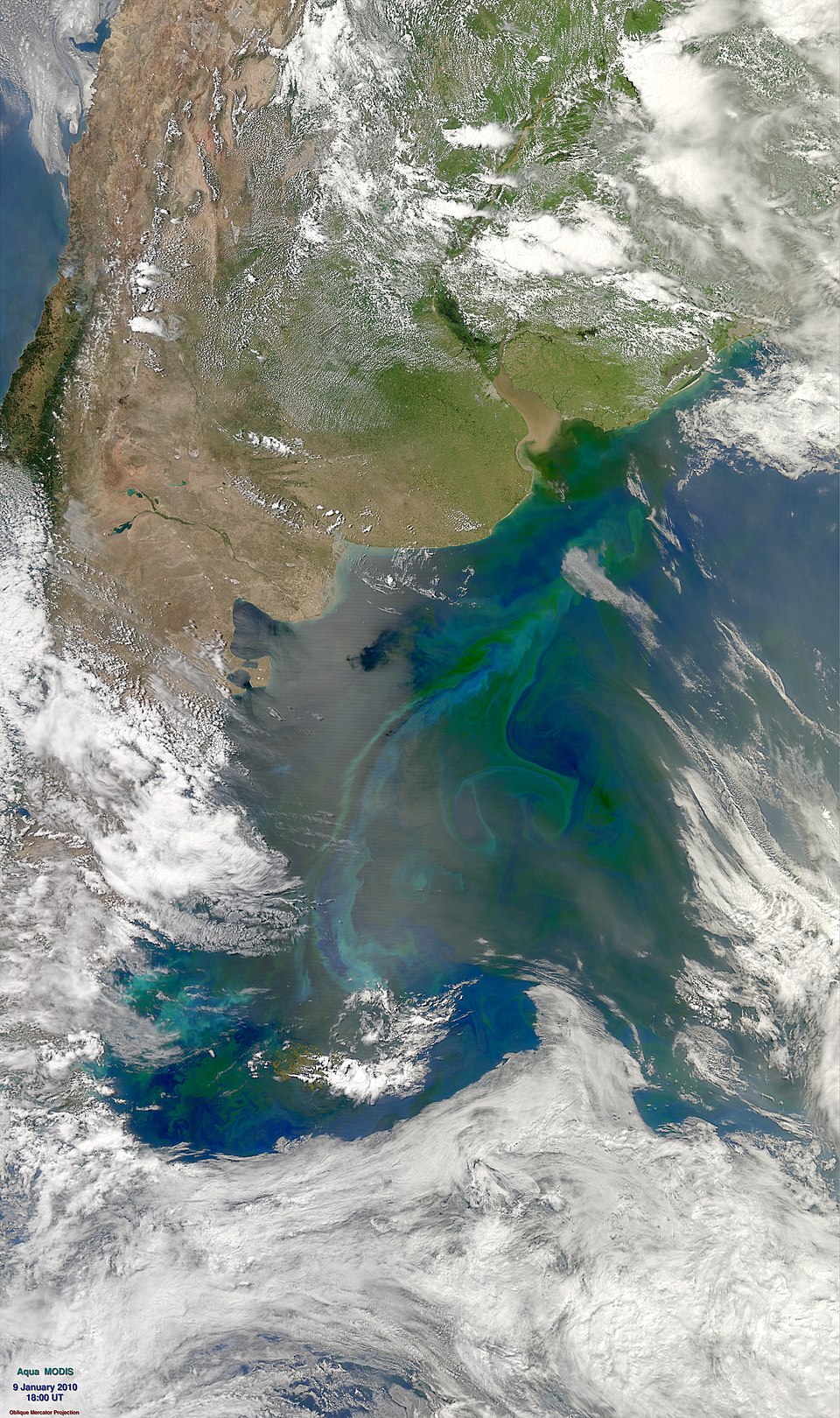 Argentine Sea