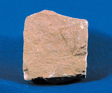 siltstone