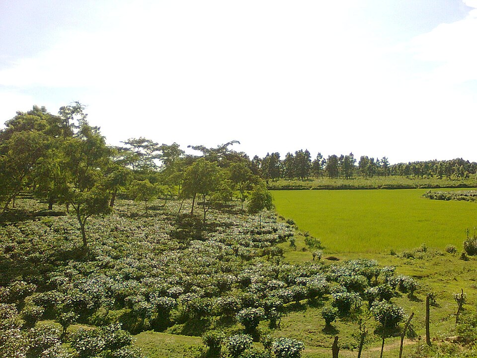 Goalpara district