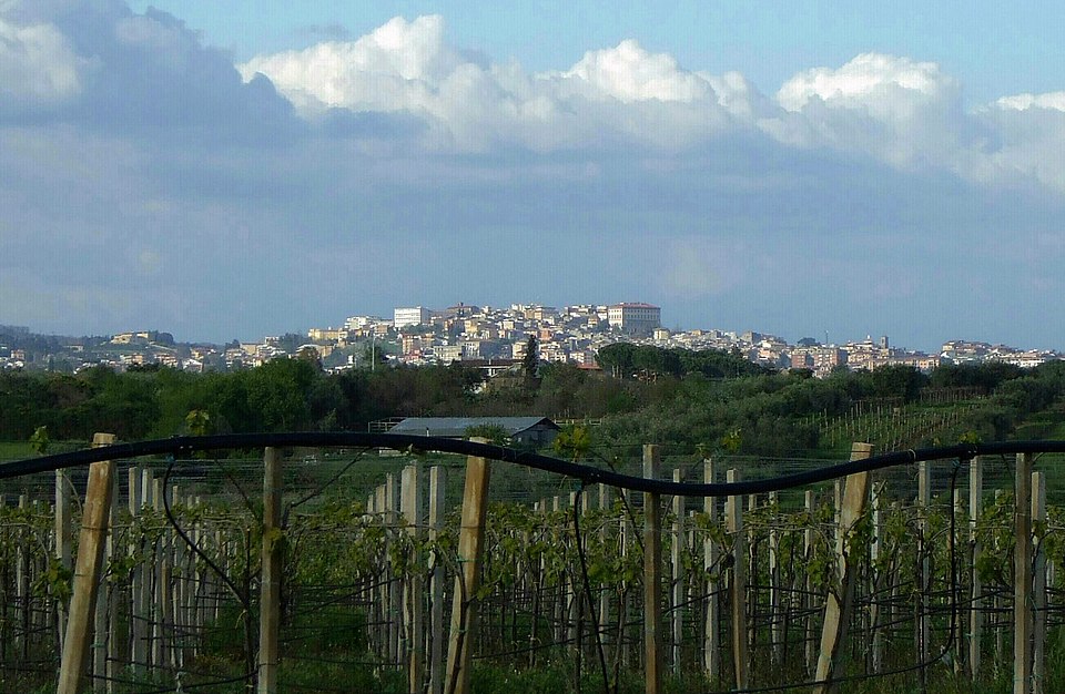 Velletri
