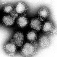 Hong Kong flu