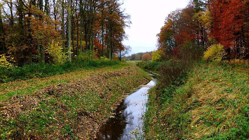 Millienhagen-Oebelitz