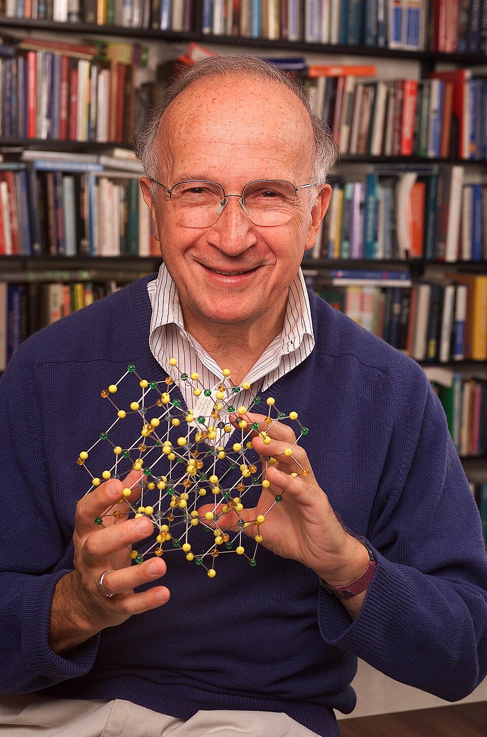 Roald Hoffmann